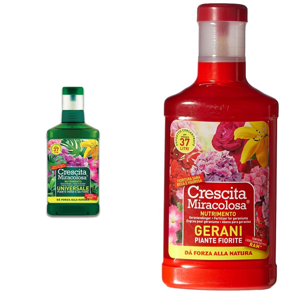 crescita miracolosa piante verdi