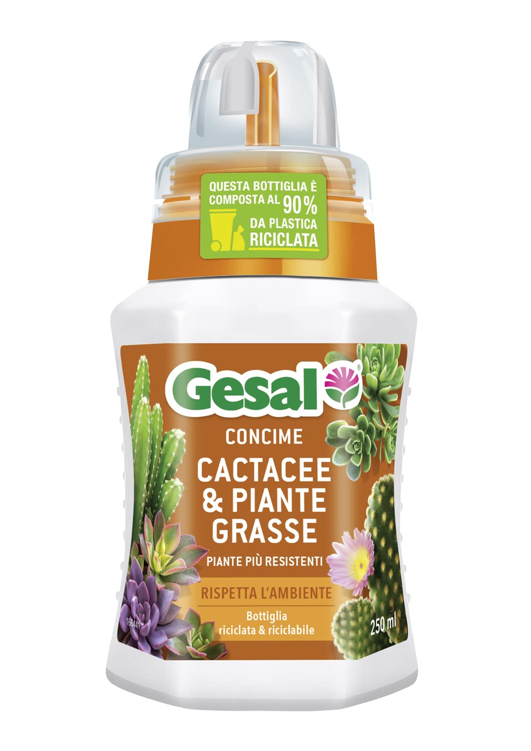 crescita miracolosa piante grasse