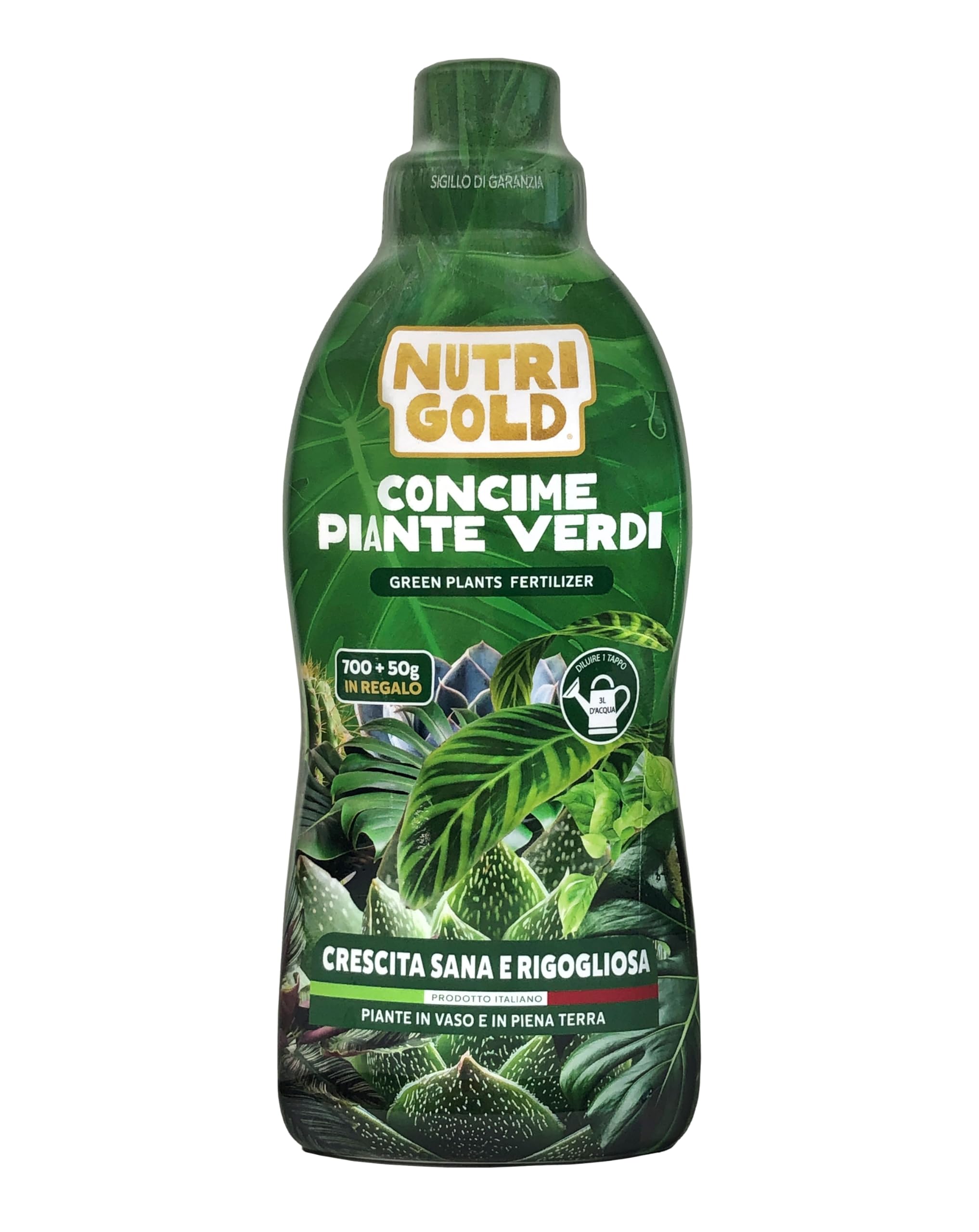 crescita miracolosa piante verdi