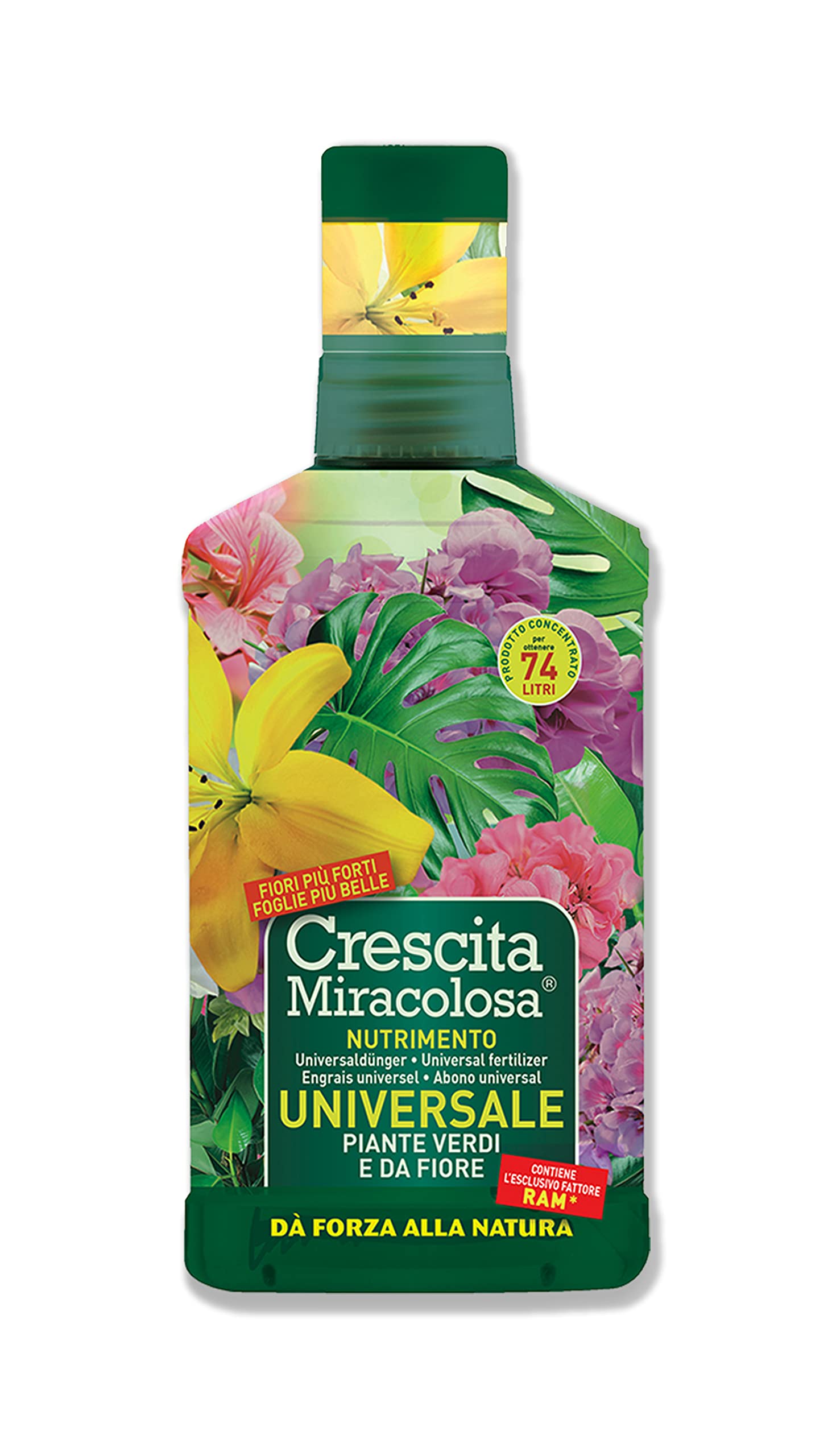 Crescita Miracolosa Piante Verdi